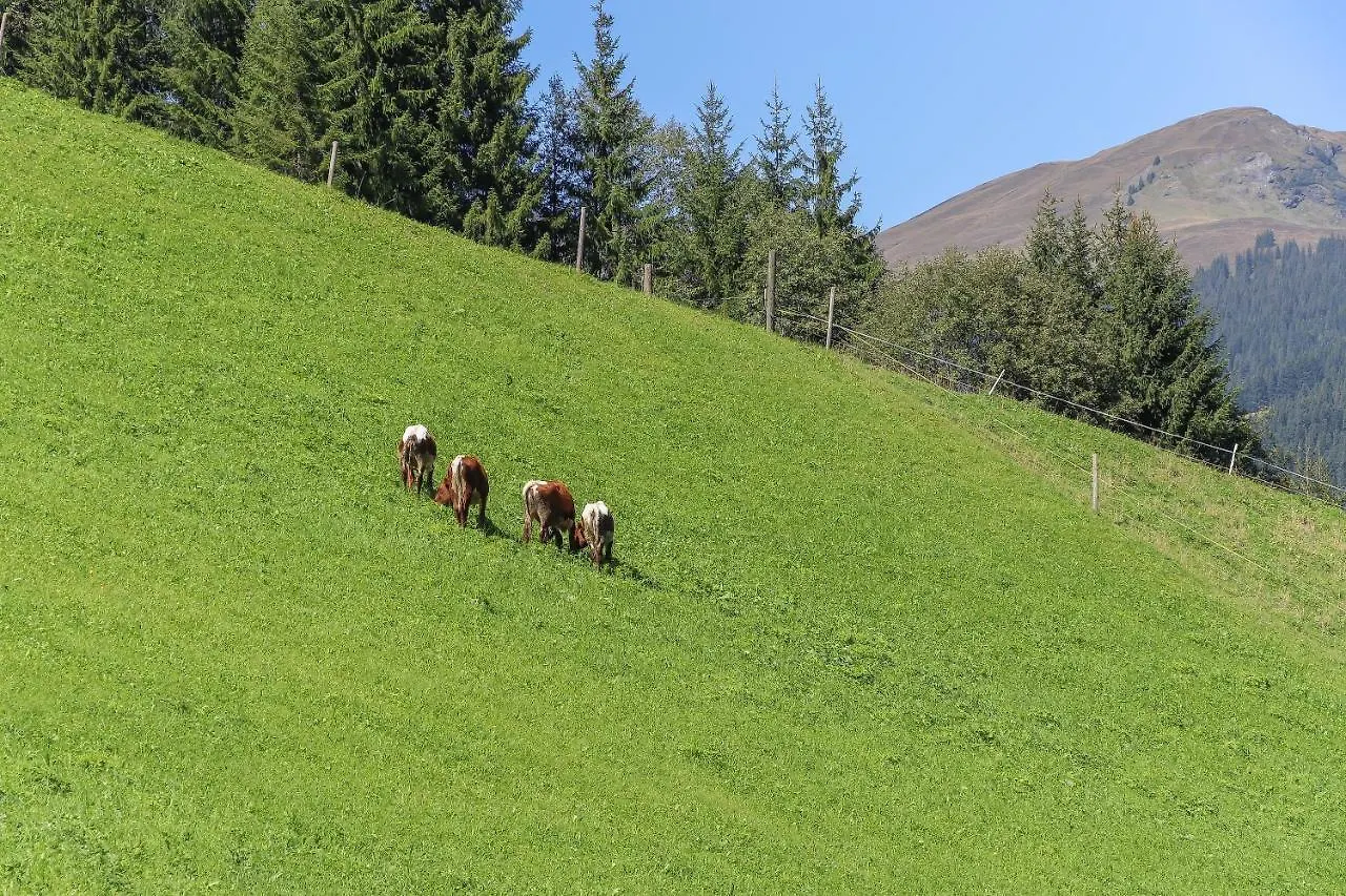 Ferienwohnung Landhaus Hinterglemm Saalbach 0*,